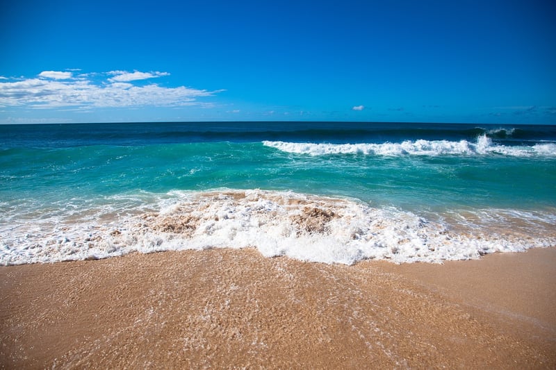 Hawaiian Paradise