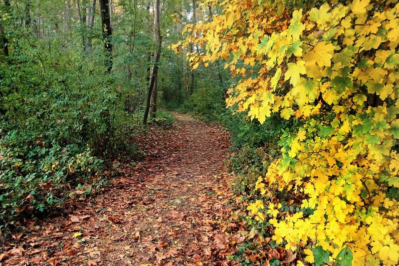 Scenic Landscapes